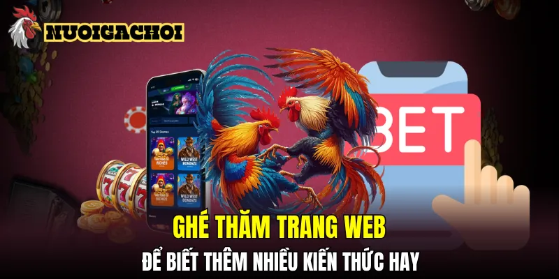 Chăm chỉ ghé thăm trang web để biết thêm nhiều kiến thức hay về thế giới gà chọi
