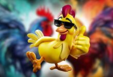 Môi trường sống lý tưởng trong chăm sóc gà tơ